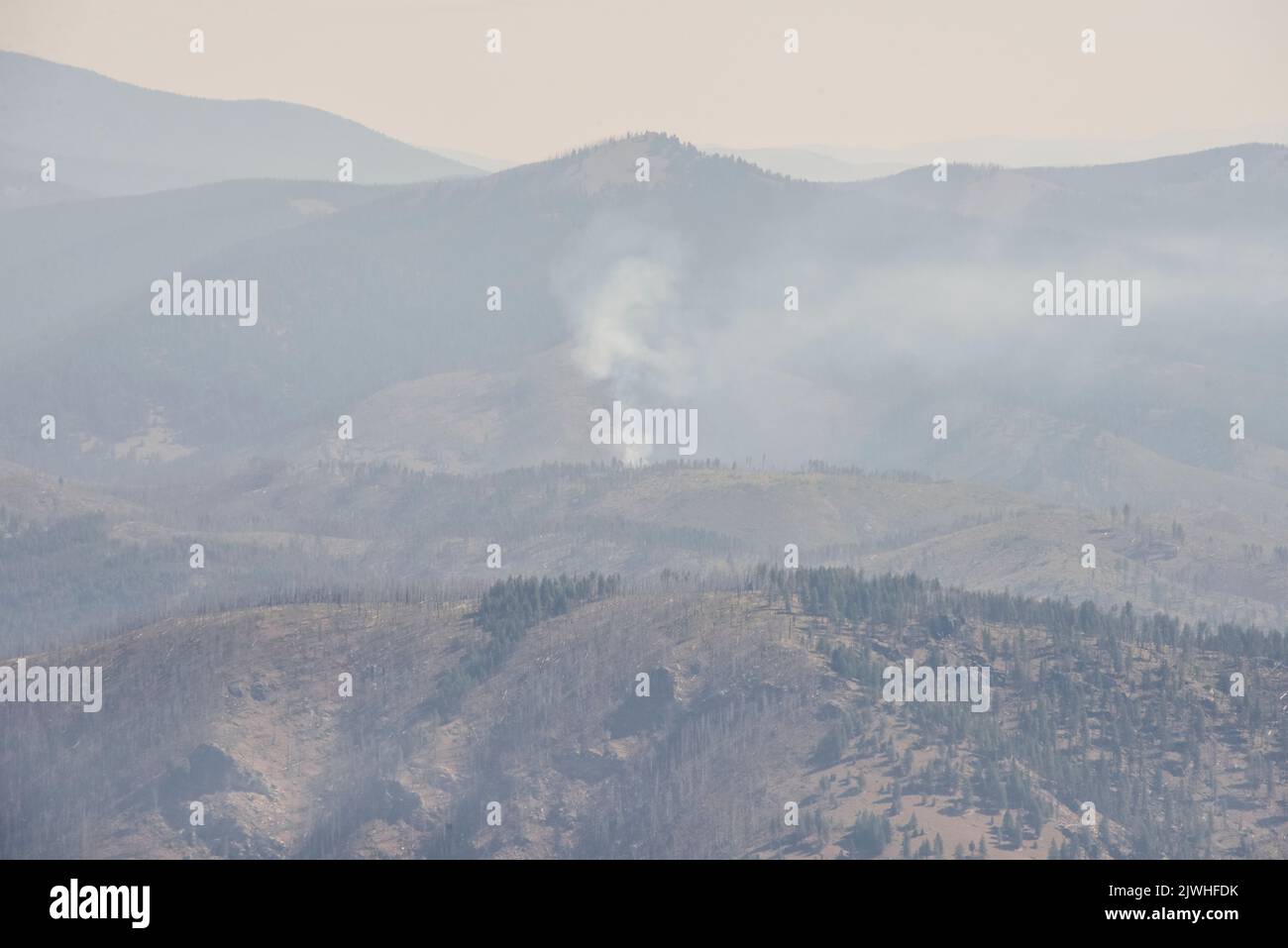 Smoke from a wildfire in the SelwayBitterroot Wilderness, Idaho, USA Stock Photo Alamy
