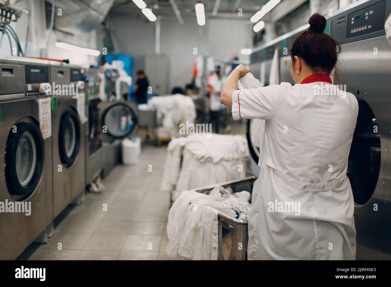 Dry cleaning clothes. Clean cloth chemical process. Laundry industrial