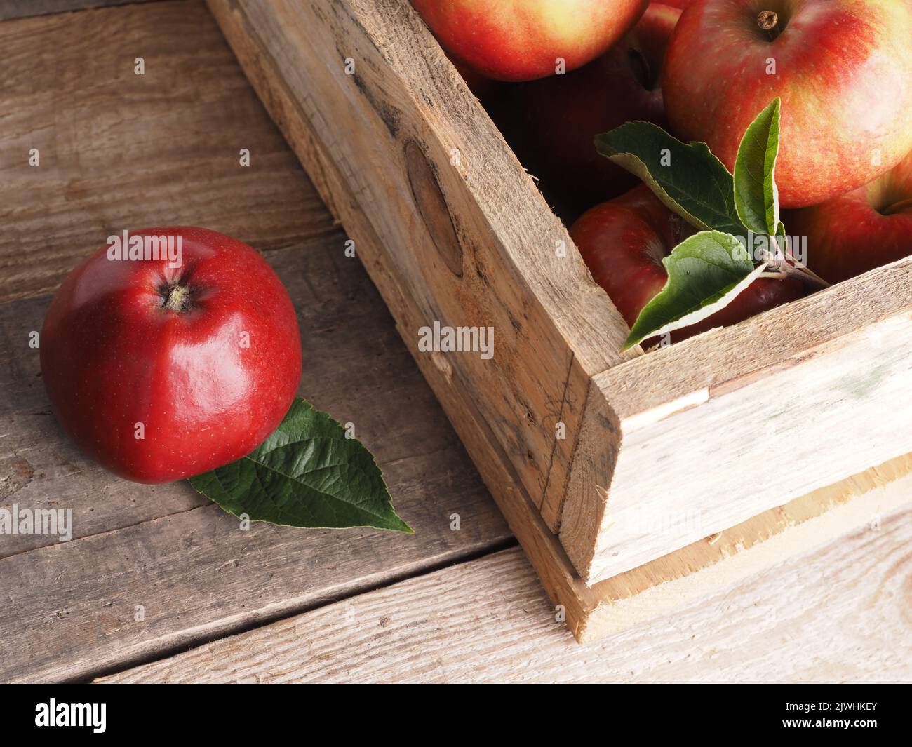 Fresh red organic apples in a wooden box after harvesting, seasonal food,  agriculture concept Stock Photo - Alamy