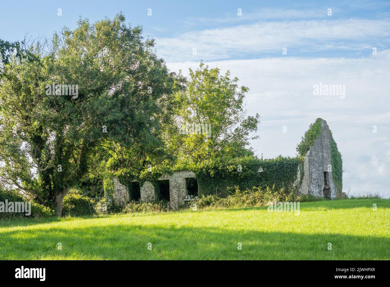The ruins of an old farmhouse in the Cloughanover district near Headford in County Galway, Ireland. Stock Photo