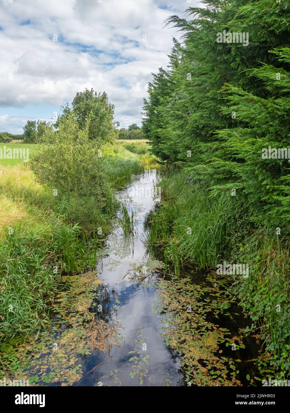 A stream in the Cloughanover district near Headford in County Galway, Ireland. Stock Photo