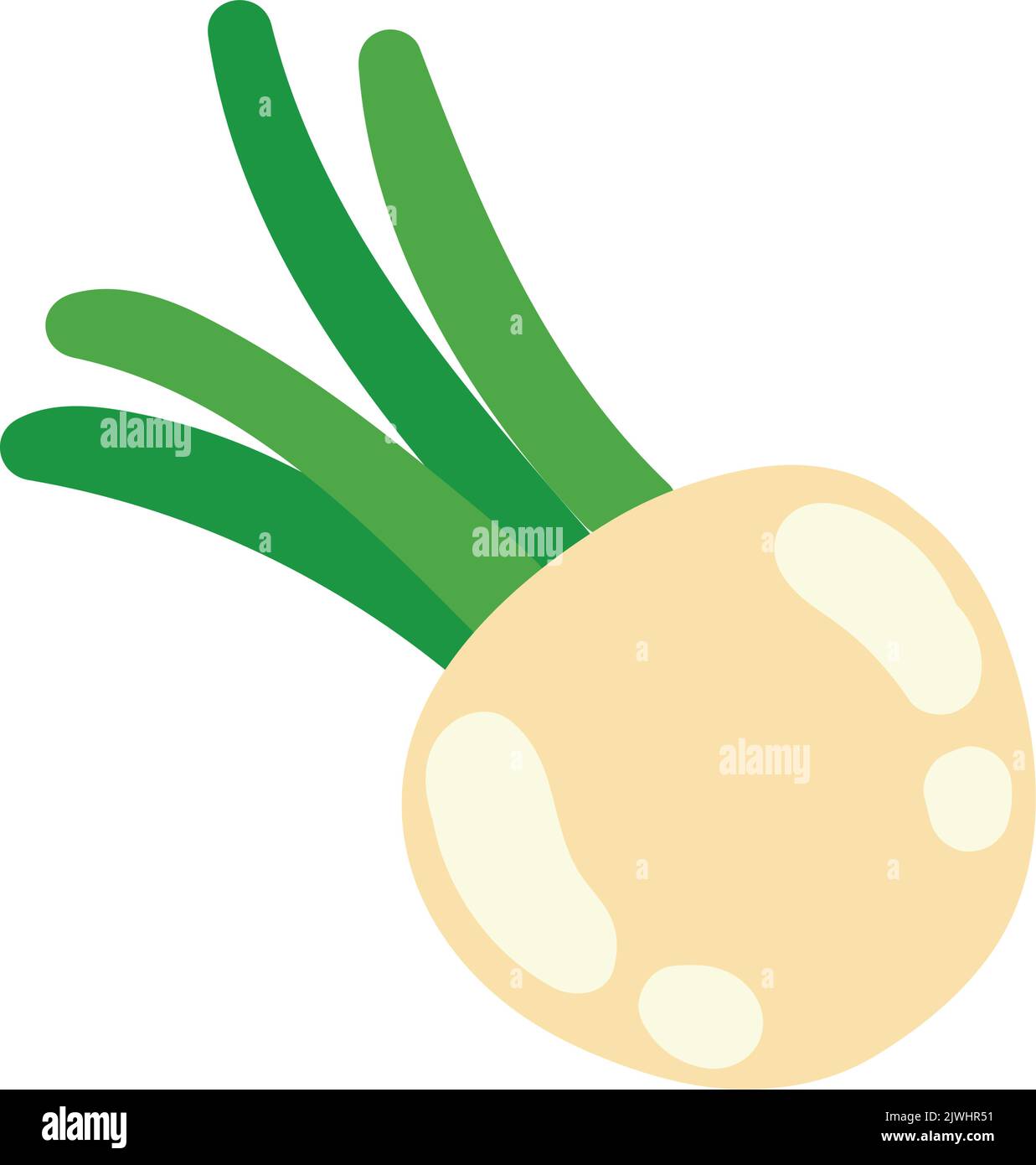 onion healthy food Stock Vector Image & Art - Alamy