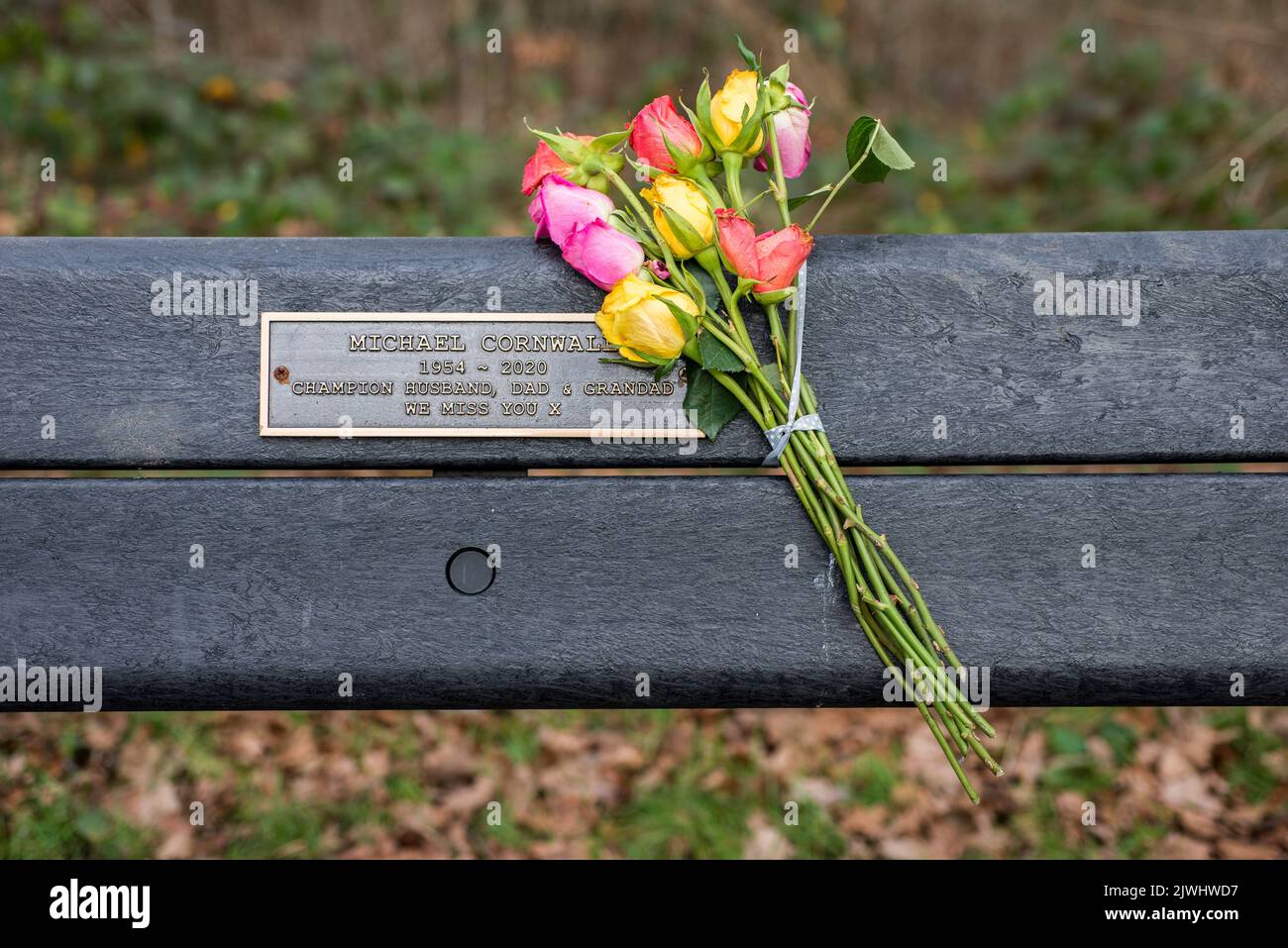 Honouring someone hires stock photography and images Alamy