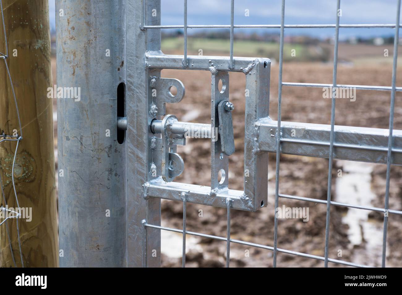 A brand new galvanised steel gate with lock with wet muddy farmers field beyond it in a rural area of north London England UK Stock Photo