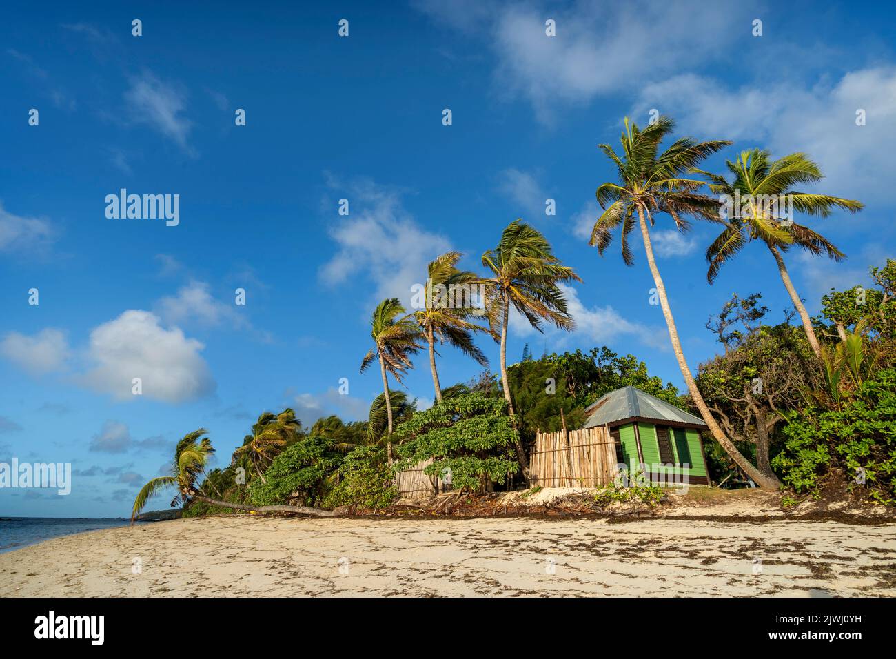 Bungalows at family run homestay in village on Nanuya LaiLai Island