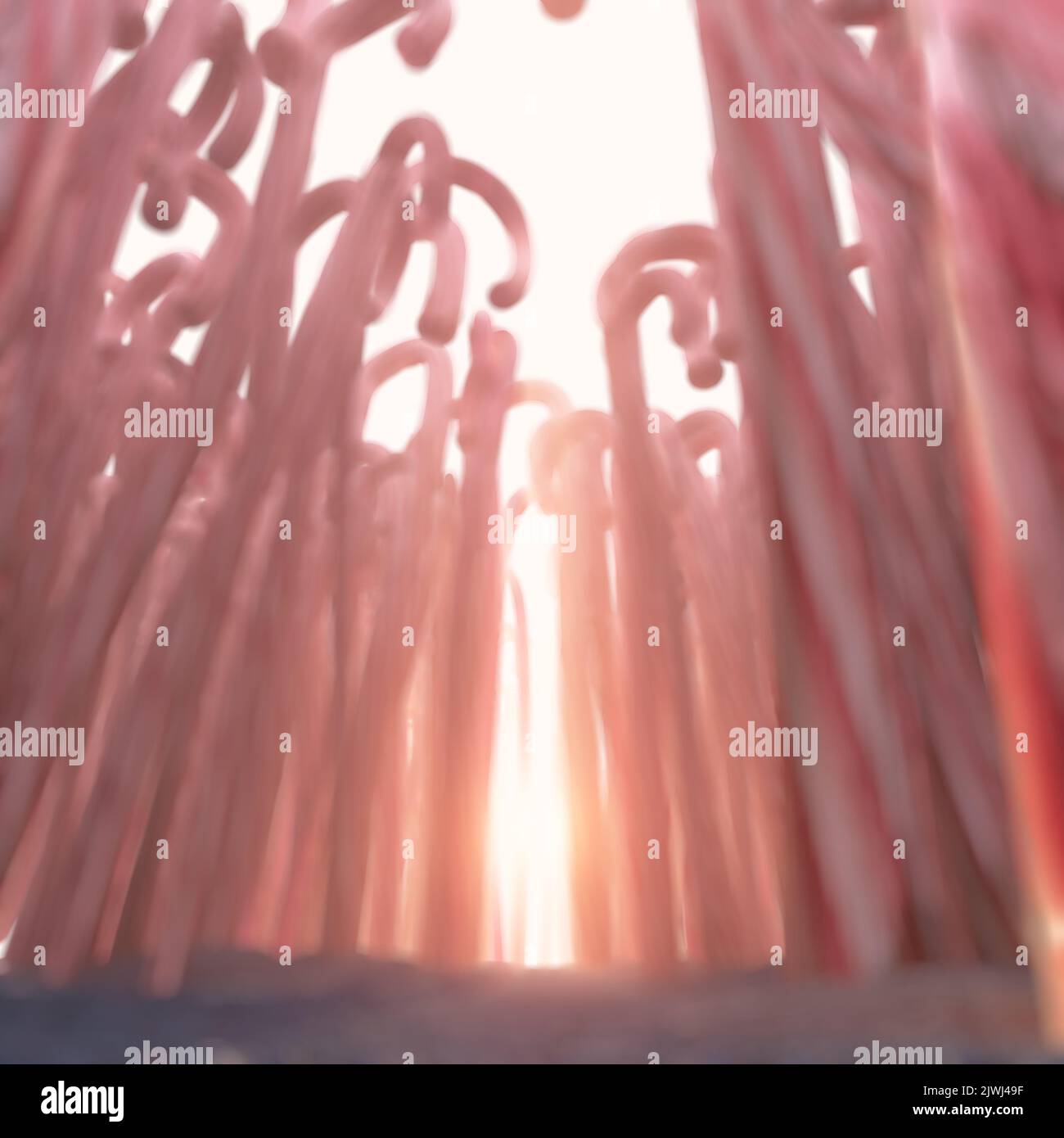 A fantastical concept a pathway through a forest made out of thousands of candy canes on a warm sunrise background - 3D render Stock Photo