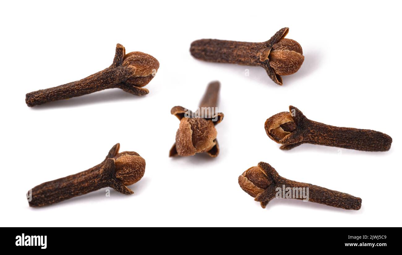Cloves group isolated on white background Stock Photo