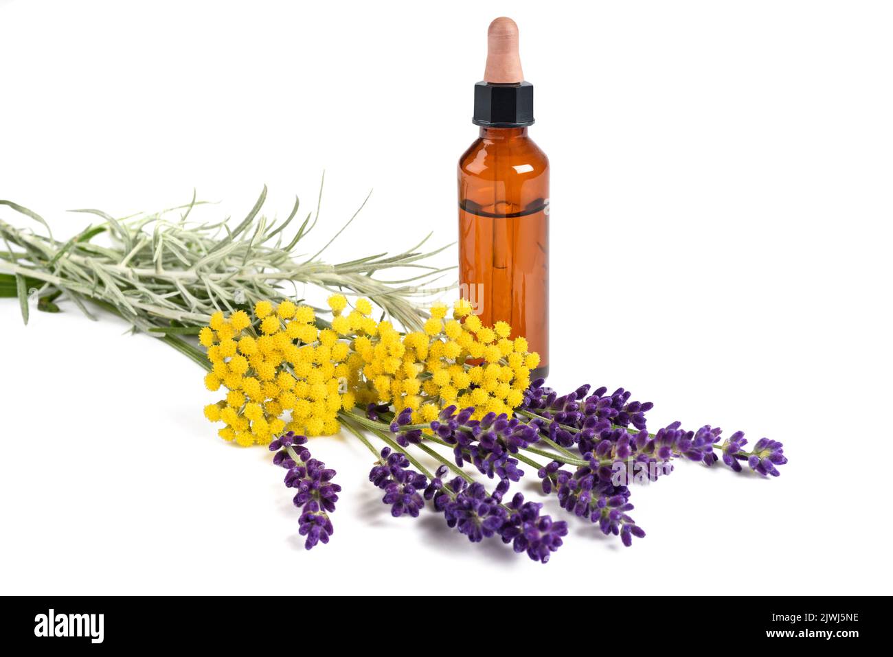 lavender and helichrysum flowers with bottle isolated on white background Stock Photo
