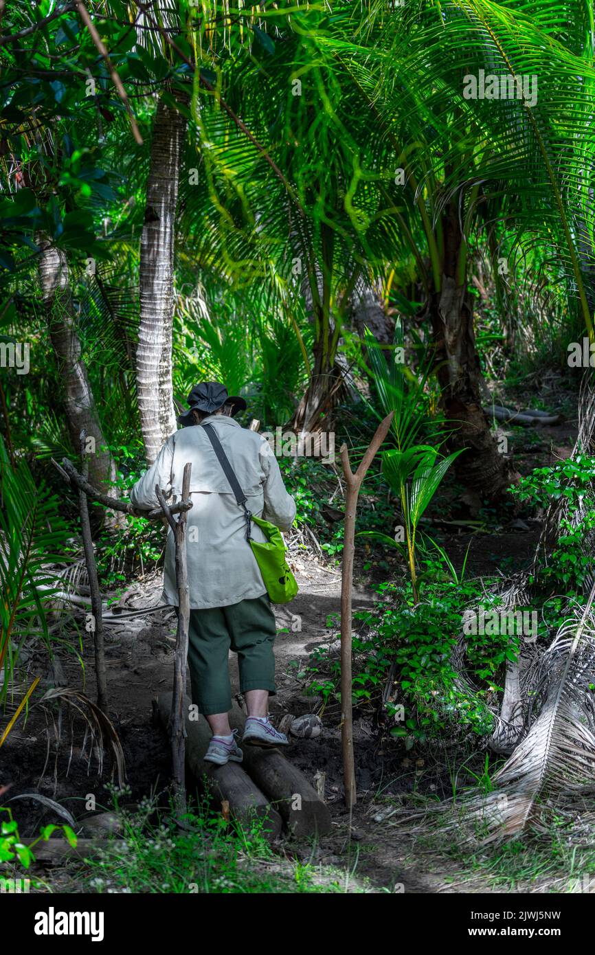 Single person crossing small log bridge on on walking track across