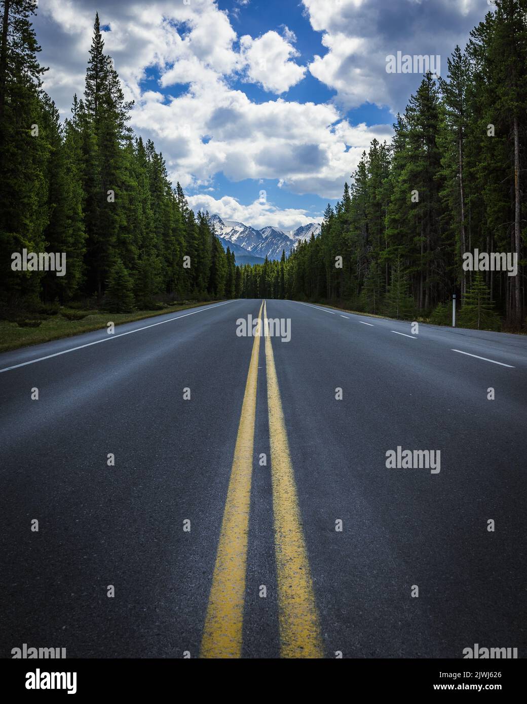 A scenic shot of a road lined with trees on the sides at Bow Valley ...