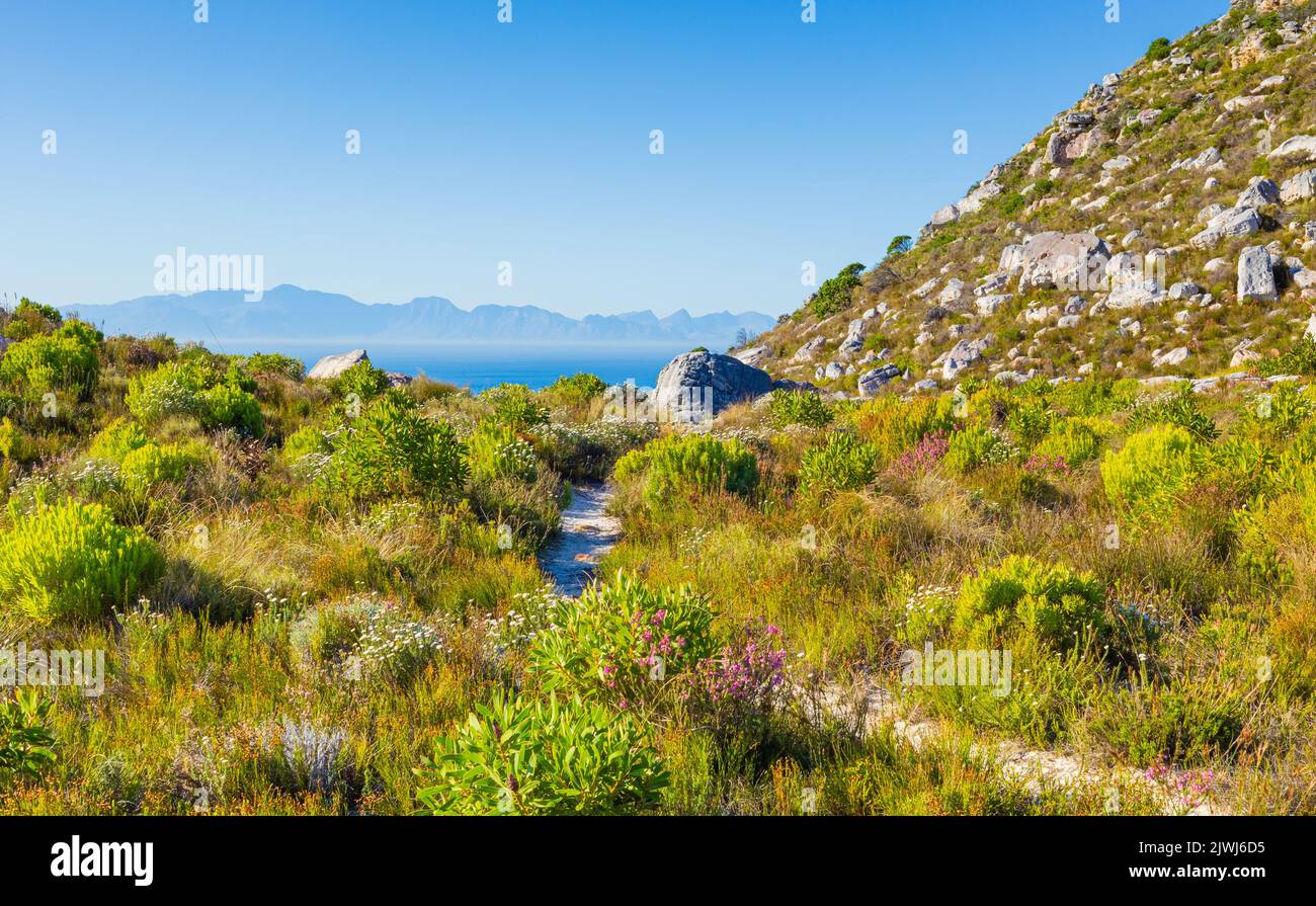 Dirt Track hiking paths on top of a mountain by the coastin Cape Town Stock Photo