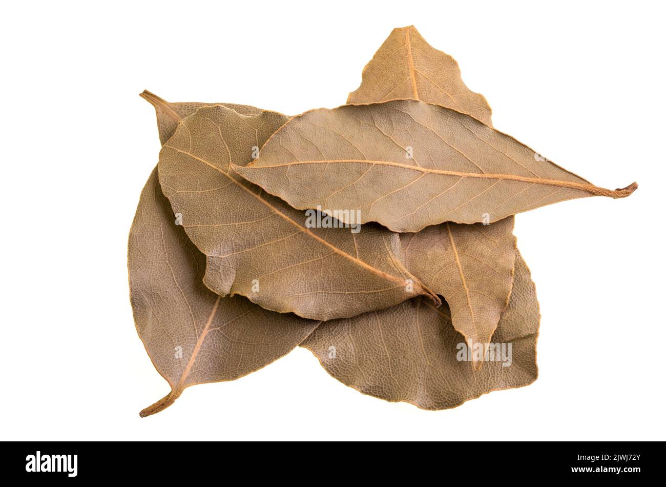 Bay leaves are a fragrant leaf from the laurel tree, Laurus nobilis, commonly used in cooking around the world. Stock Photo