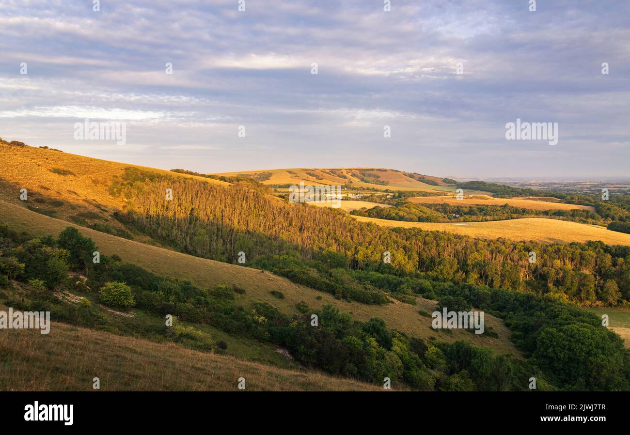 Morning golden hour on the south downs hills of Butts Brow near Eastbourne East Sussex south east England Stock Photo