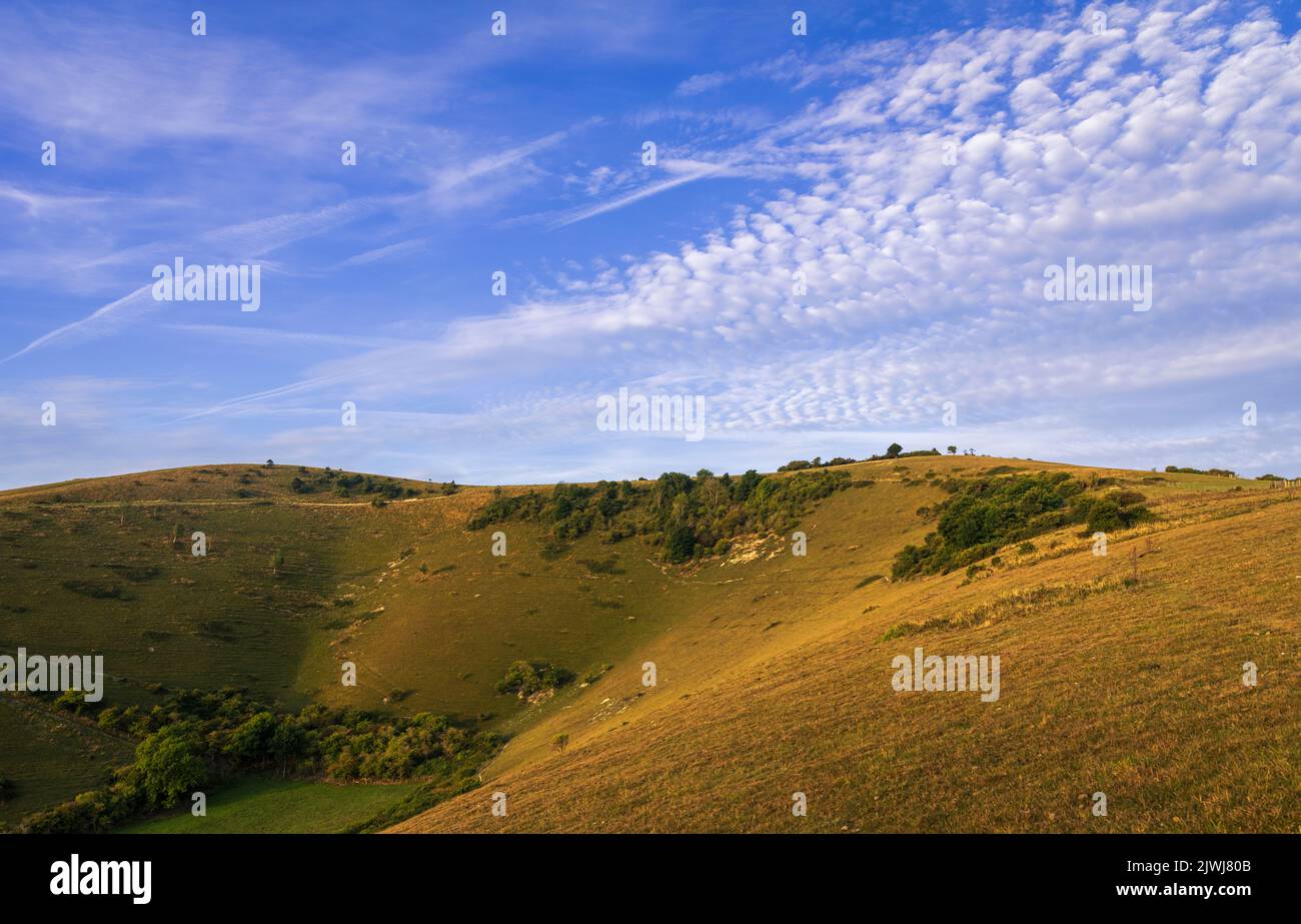 Morning golden hour on the south downs hills of Butts Brow near Eastbourne East Sussex south east England Stock Photo