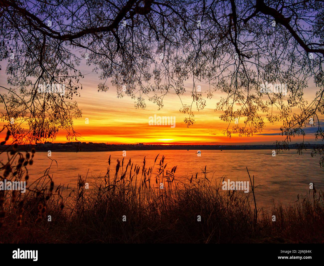 Sunrise on the river, silhouette of tree branches and plants, soft focus Stock Photo