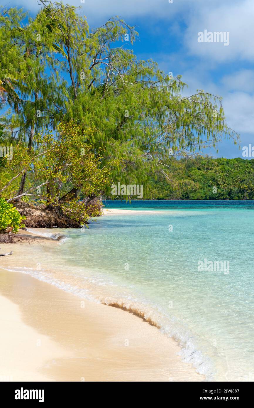 Trees lining sandy white beach at Blue Lagoon, Nanuya Island, Yasawa Group, Fiji Stock Photo