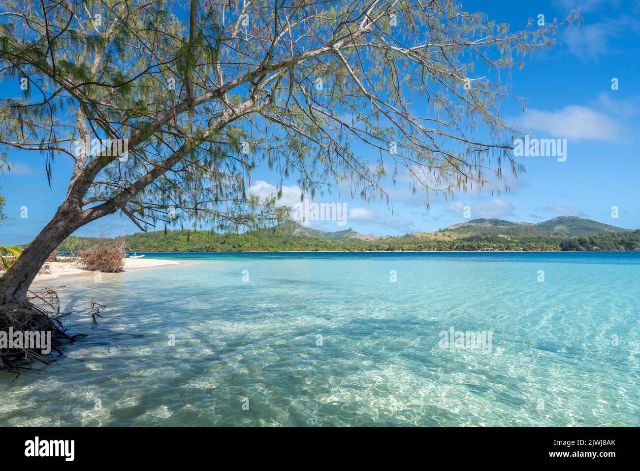 Trees lining sandy white beach at Blue Lagoon, Nanuya Island, Yasawa Group, Fiji Stock Photo