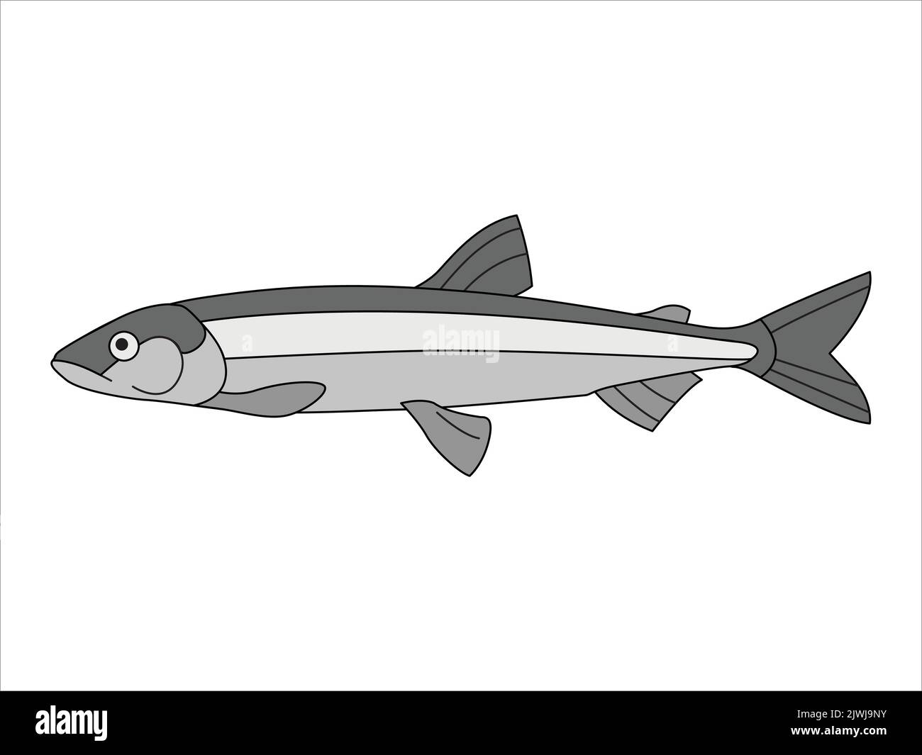 Marine, river fish on an isolated background. Vector illustration in doodle style. Stock Vector