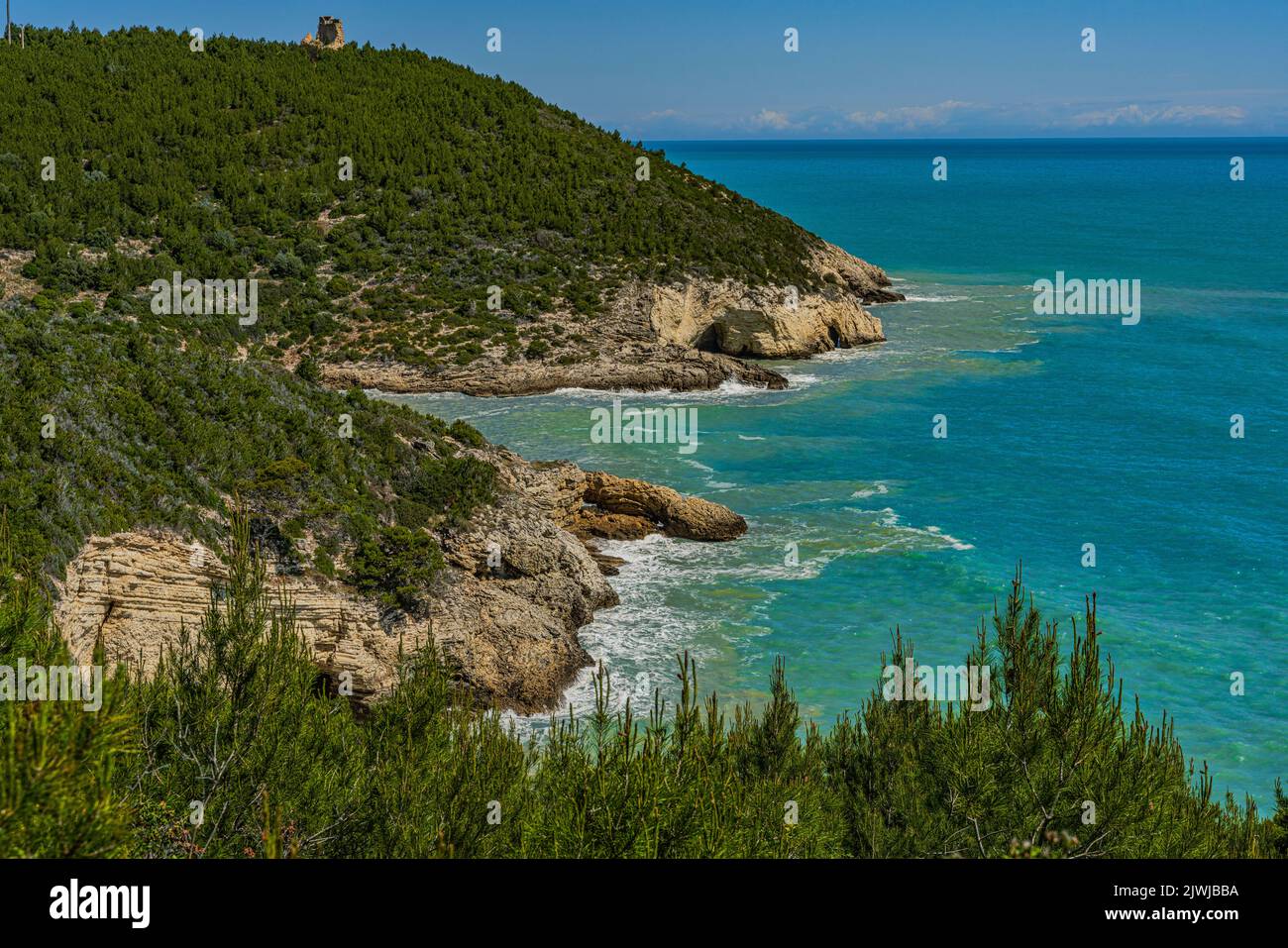 Cliffs and promontories of the Bay of San Felice in the Gargano. Cliffs overlooking the sea covered with Mediterranean vegetation. Vieste, Puglia Stock Photo