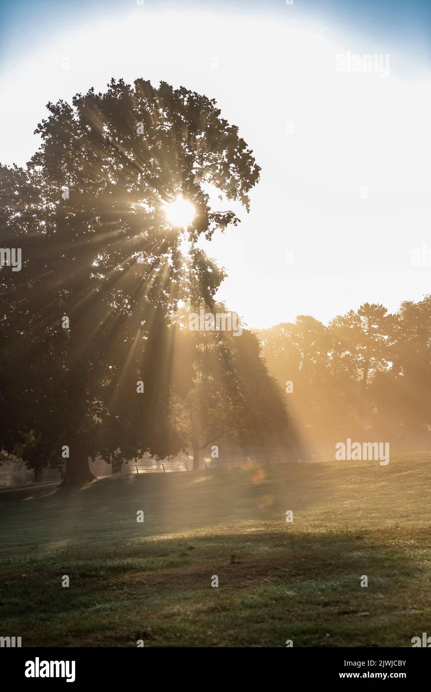 Northampton, UK. Weather. 6th September 2022.  A misty start to the day in Abington Park with sunshine showing through. Credit: Keith J Smith./Alamy Live News Stock Photo