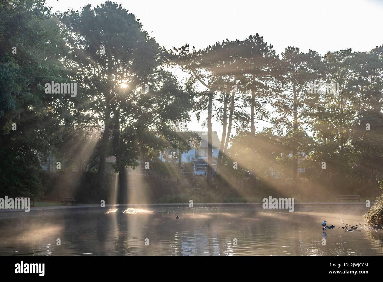 Northampton, UK. Weather. 6th September 2022.  A misty start to the day in Abington Park with sunshine showing through. Credit: Keith J Smith./Alamy Live News Stock Photo