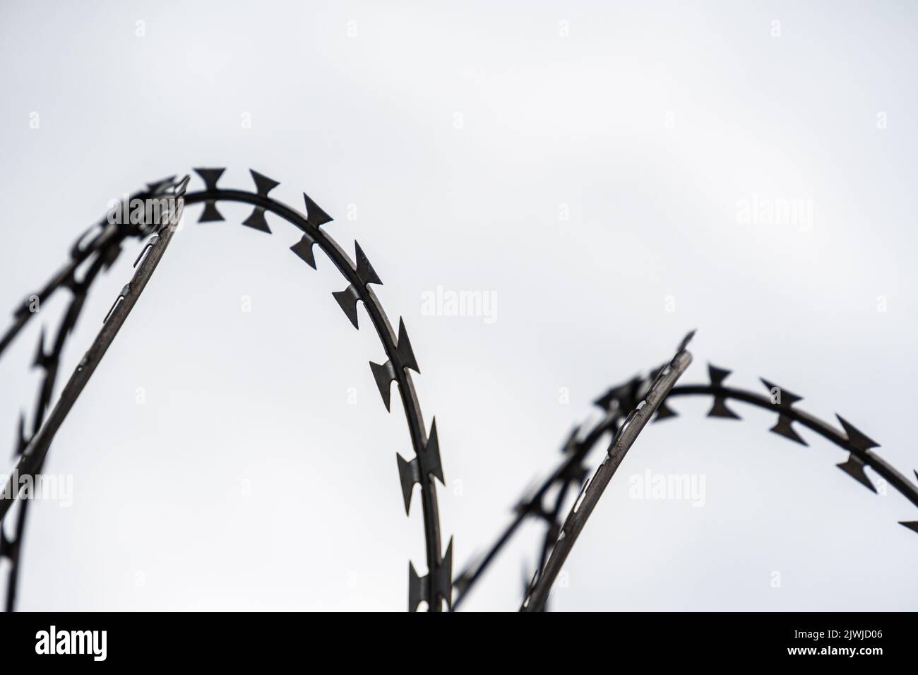 A closeup shot of razor wires isolated on white background Stock Photo ...