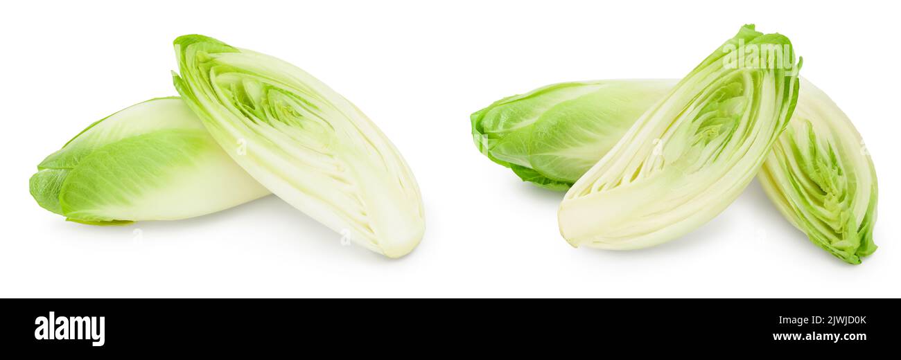 Chicory salad isolated on white background with full depth of field. Stock Photo