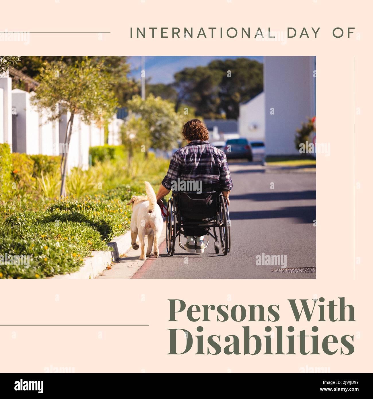International day of persons with disabilities text and man playing with dog sitting on wheelchair Stock Photo