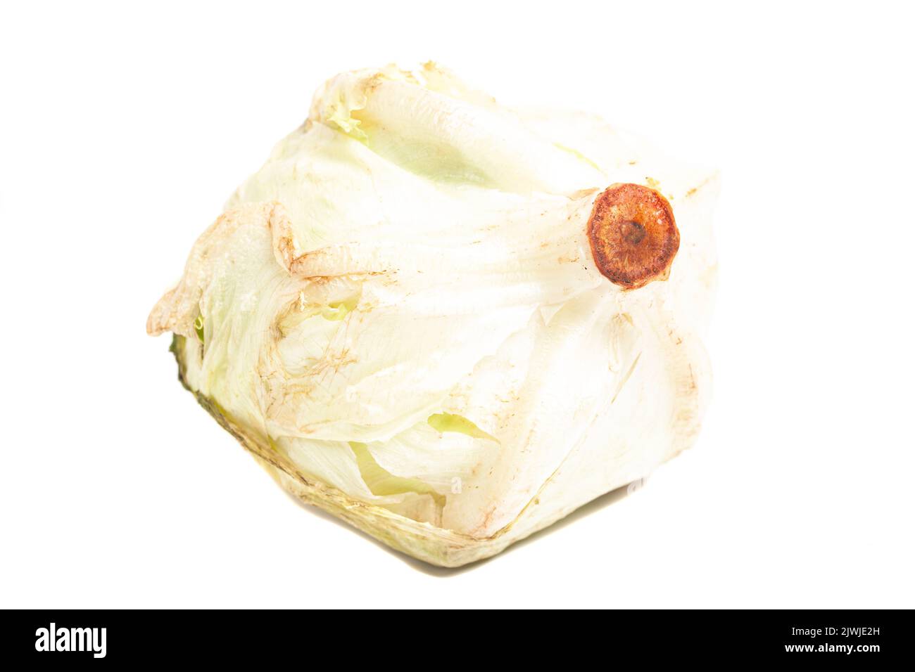 iceberg lettuce cabbage isolated on white background Stock Photo Alamy