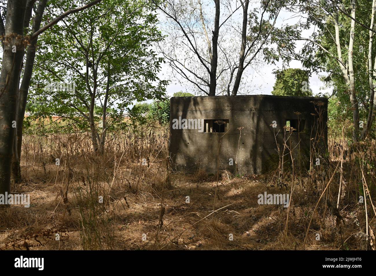 Former WW2 gun emplacement in woods by the railway line near the north Oxfordshire village of Thrupp Stock Photo