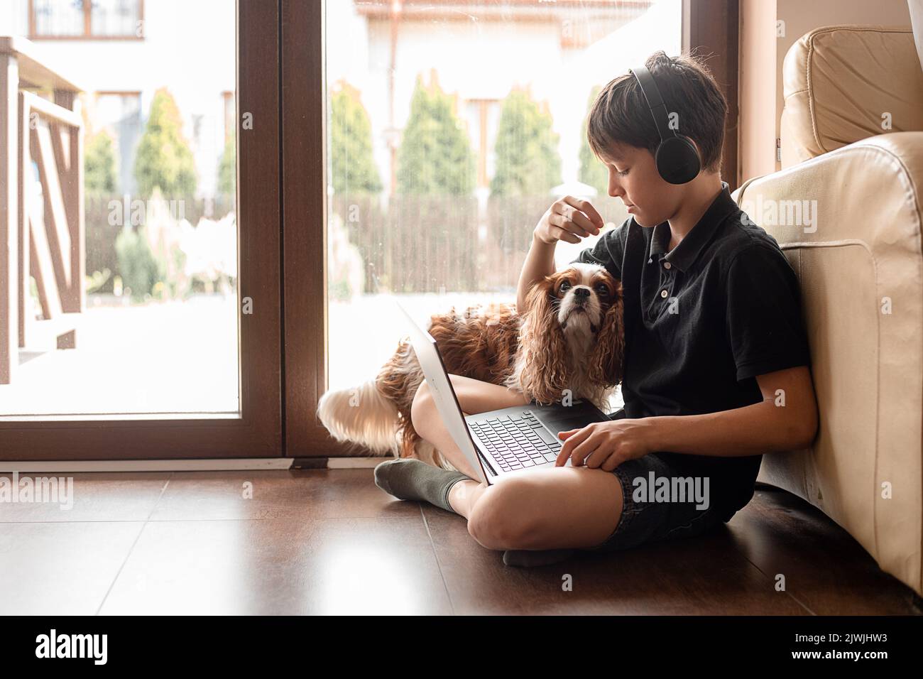 Concentrated and serious teenager boy with coker spaniel dog in headphones using laptop. E-learning, study, education Stock Photo