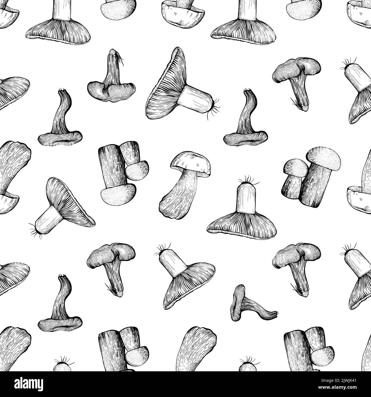 Woodland mushroom Black and White Stock Photos & Images Alamy