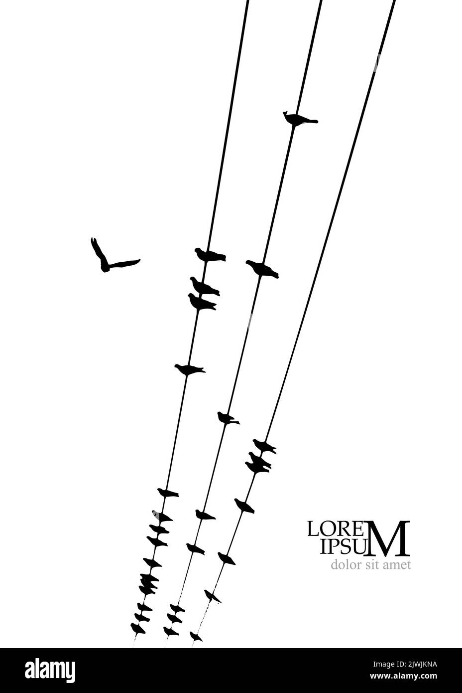 Birds on wires. Vector illustration Stock Vector Image & Art - Alamy