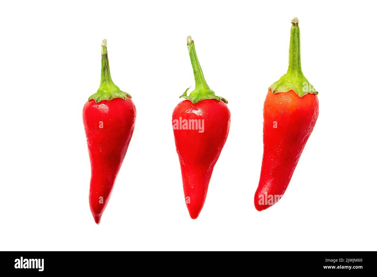 Organic fresh red hot chilli pepper isolated on a white background Stock Photo