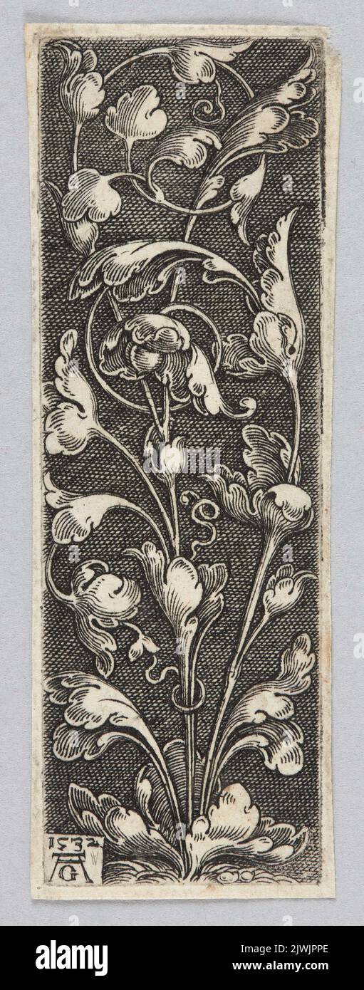 Vignette with plant ornament. Aldegrever, Heinrich (1502-1555/1561), graphic artist Stock Photo