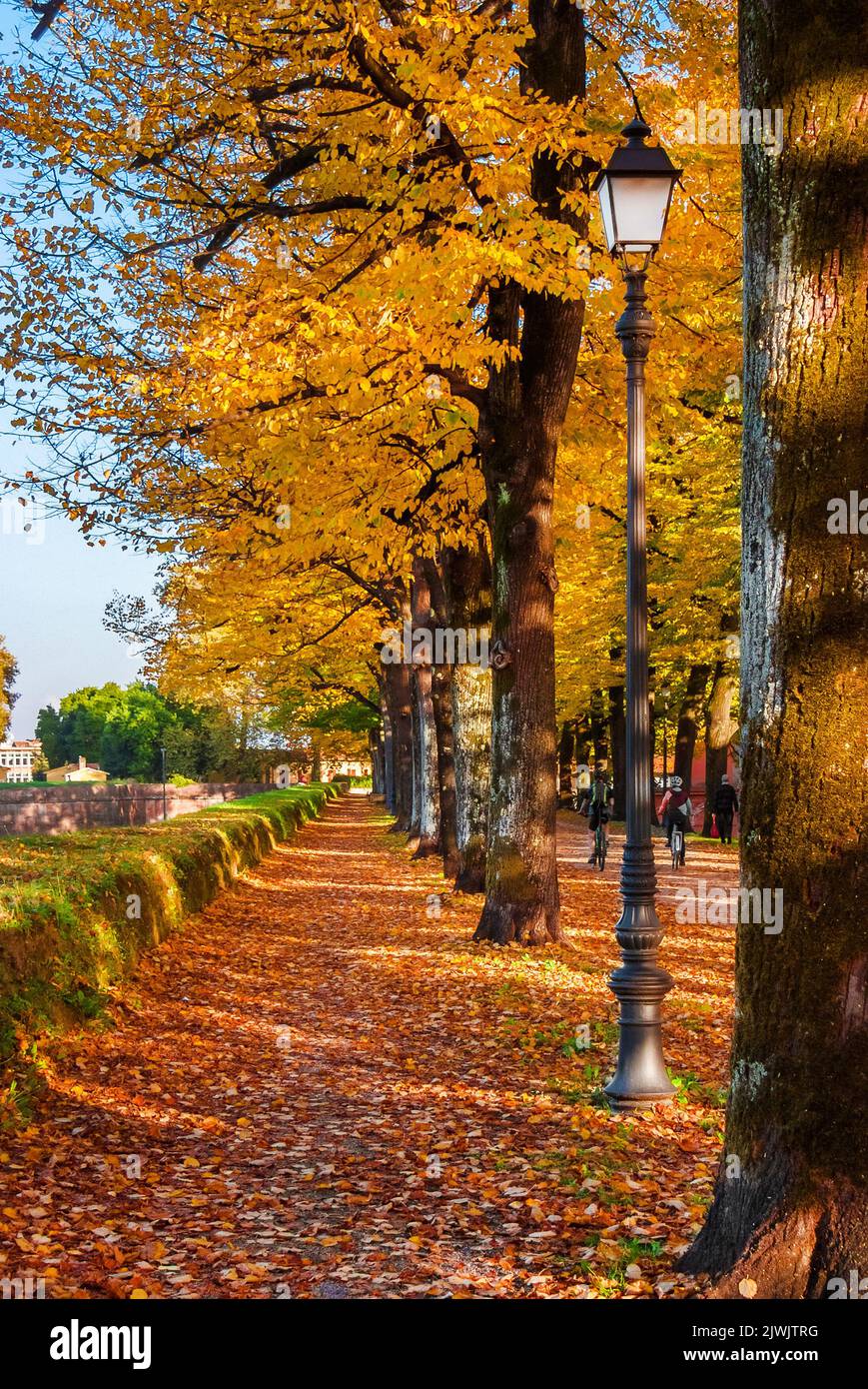 Autumn and foliage in Lucca. Anciet city walls park with autumnal leaves Stock Photo