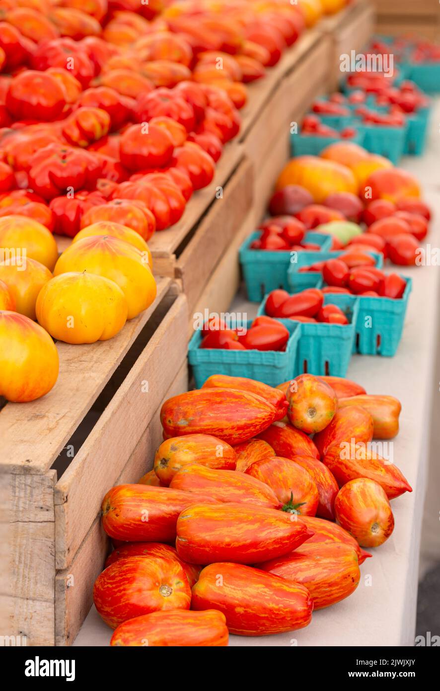 Local Tomato Display of locally grown heirloom yellow and red tomatoes at a local ...