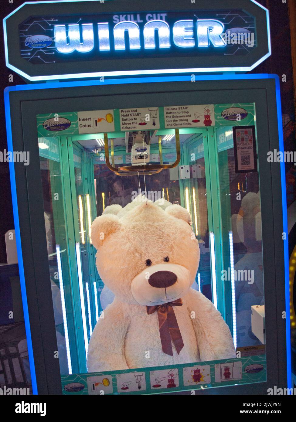A bear inside an arcade on Brighton Pier, England Stock Photo