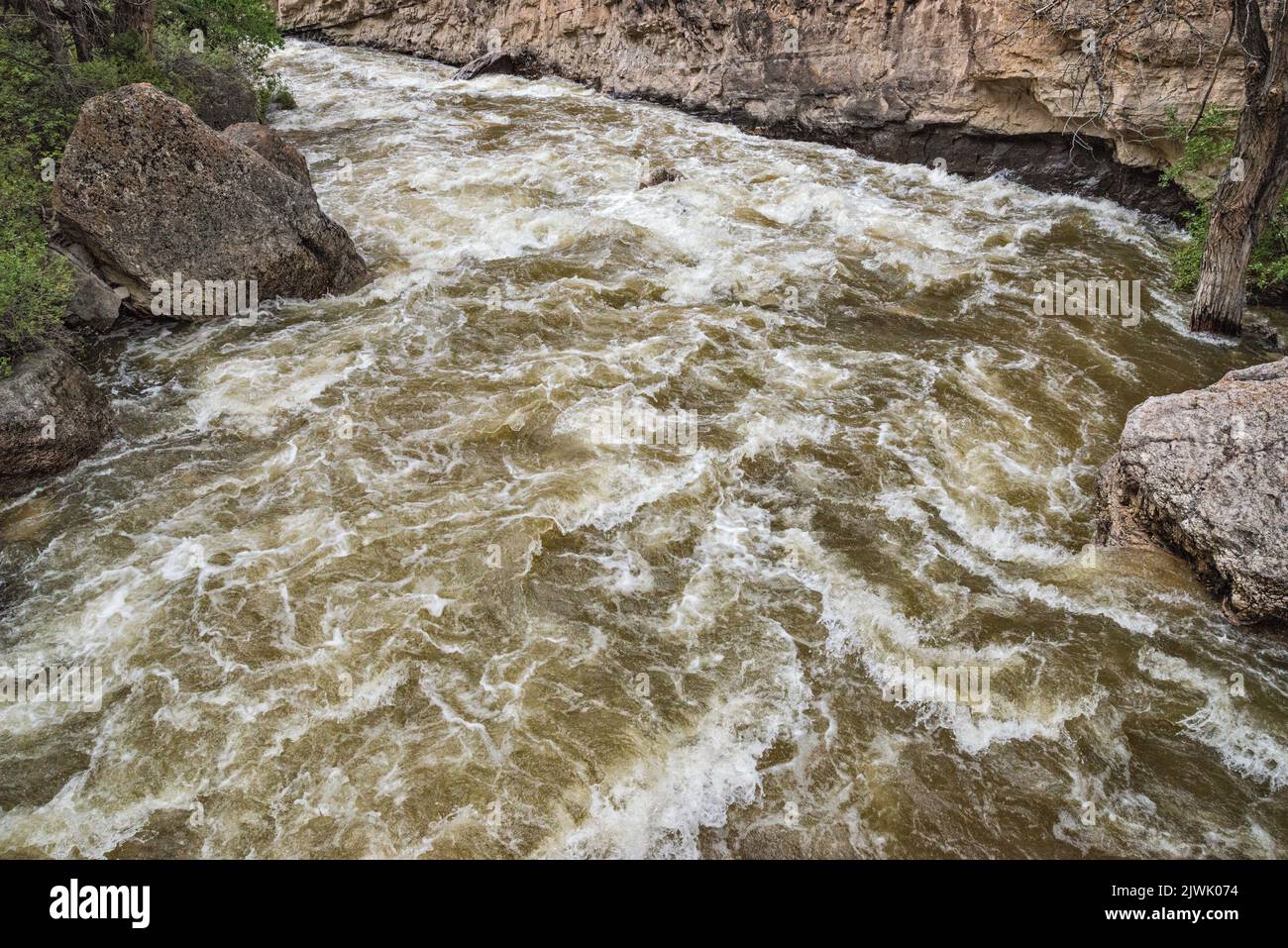 Shell Creek rapids, Shell Canyon, Bighorn Mountains, Bighorn National Forest, Wyoming, USA Stock Photo