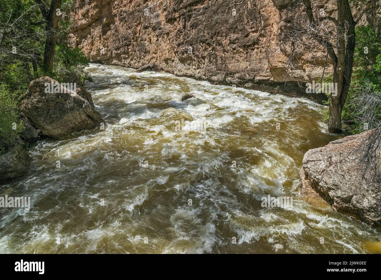 Shell Creek rapids, Shell Canyon, Bighorn Mountains, Bighorn National Forest, Wyoming, USA Stock Photo