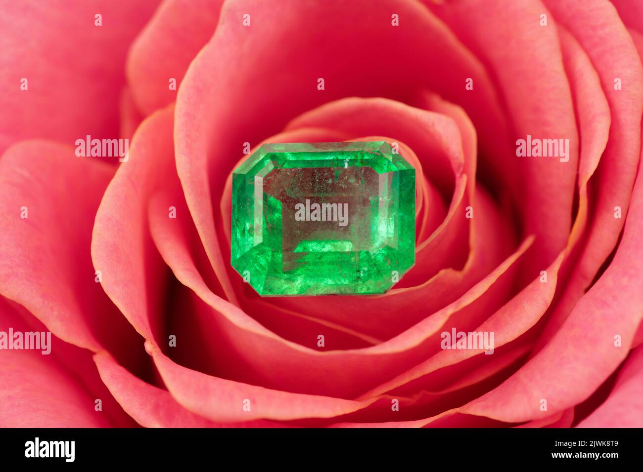 Natural green emerald gemstone on red rose flower Stock Photo Alamy