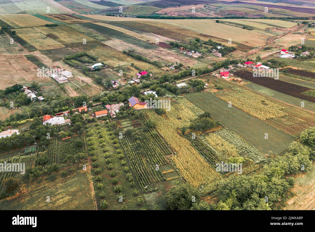 Aerial rural village landscape with yellow patched agriculture fields ...