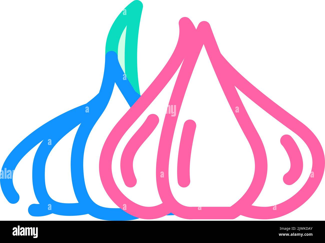 ripe garlic color icon vector illustration Stock Vector Image & Art - Alamy