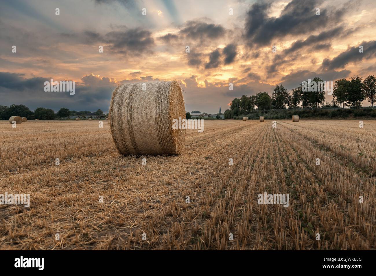 Straw bales in a field at sunset Stock Photo - Alamy