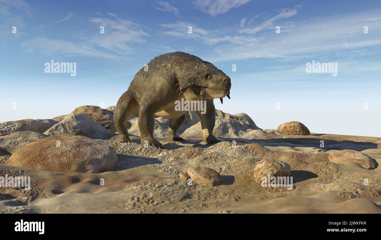 Scutosaurus on rocky terrain Stock Photo