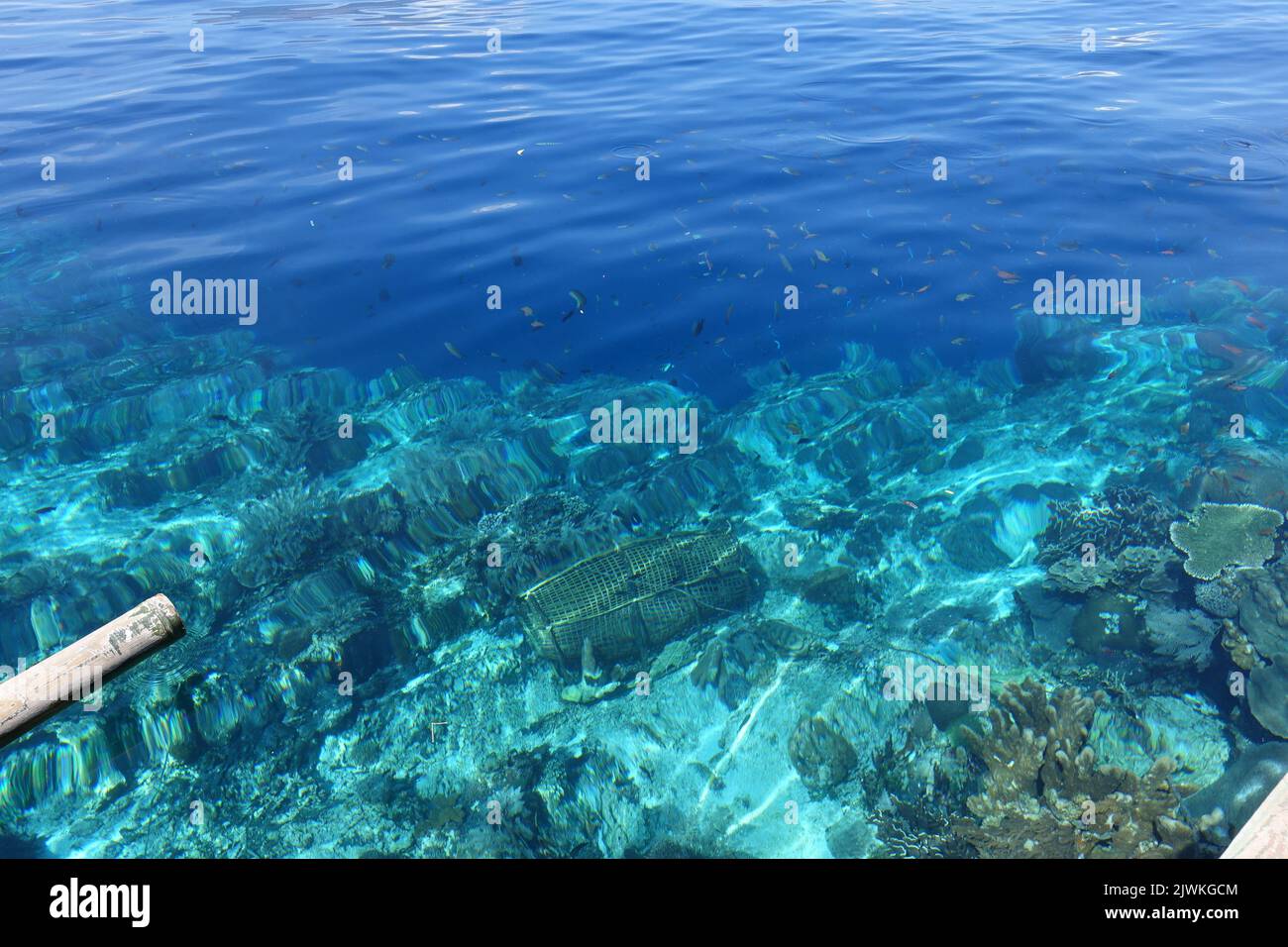Indonesia Alor Island - Reef edge with fish trap Stock Photo