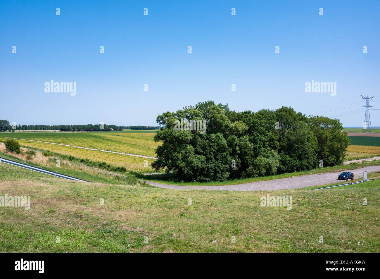 Nagele, Flevoland, The Netherlands - 07 20 2022 - Road through the green polder over blue sky Stock Photo