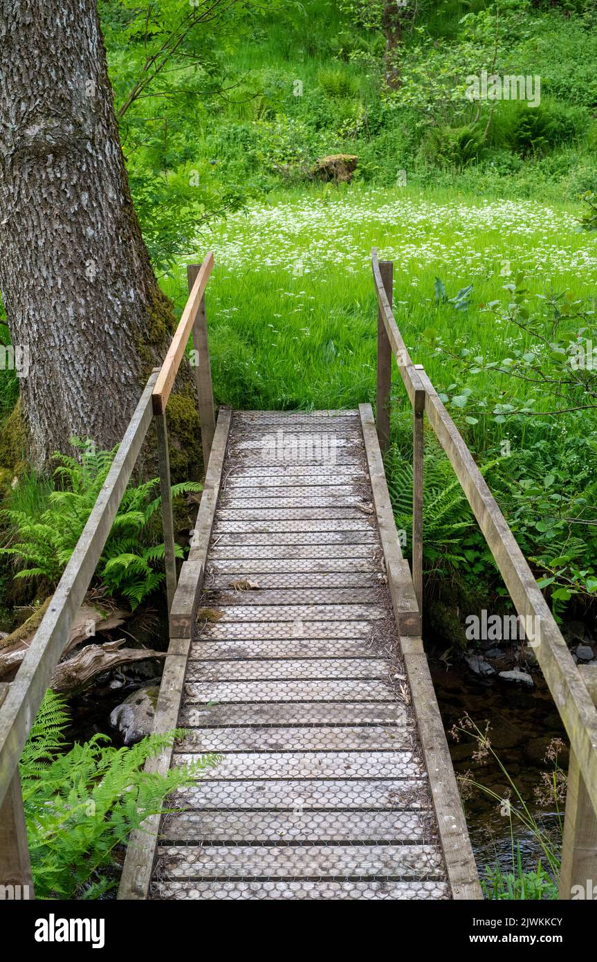 Wooden footbridge across a burnsands burn in the scottish countryside. Dumfries and Galloway, Scotland Stock Photo