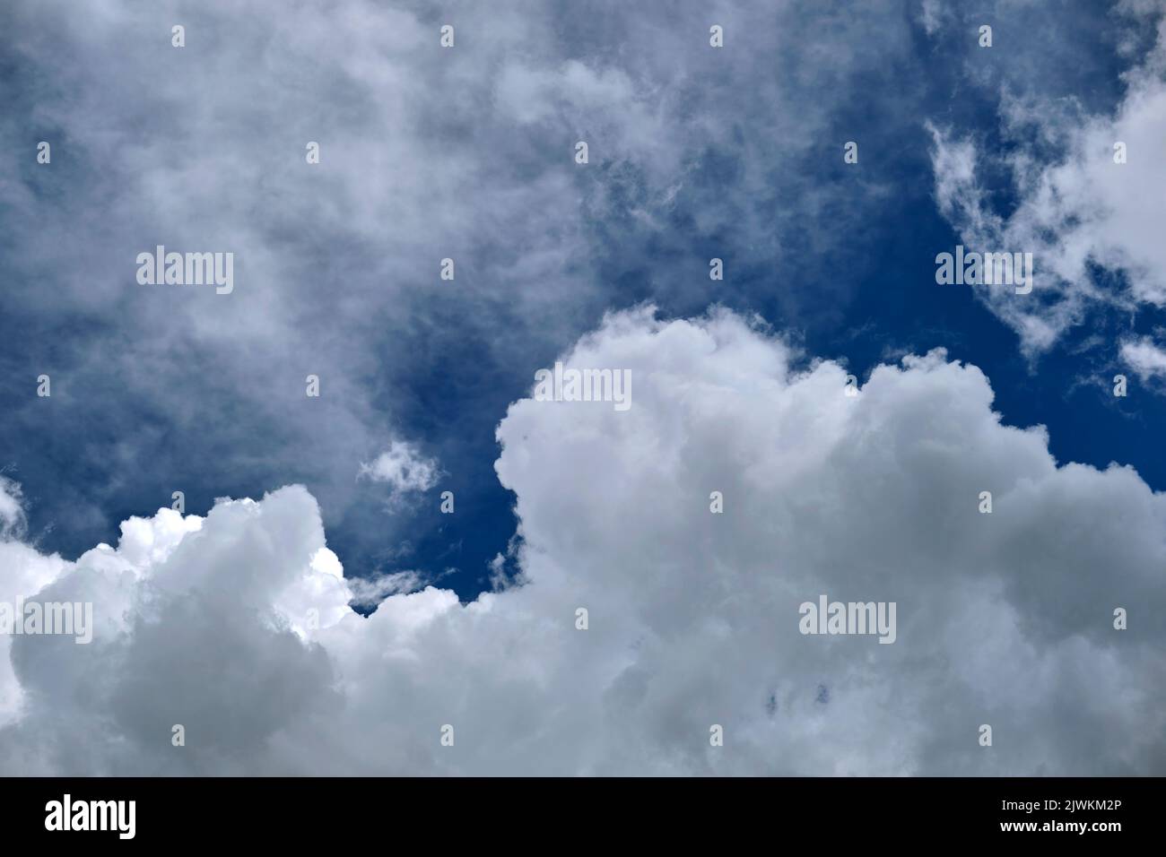 White puffy cumulus clouds on summer blue sky Stock Photo - Alamy