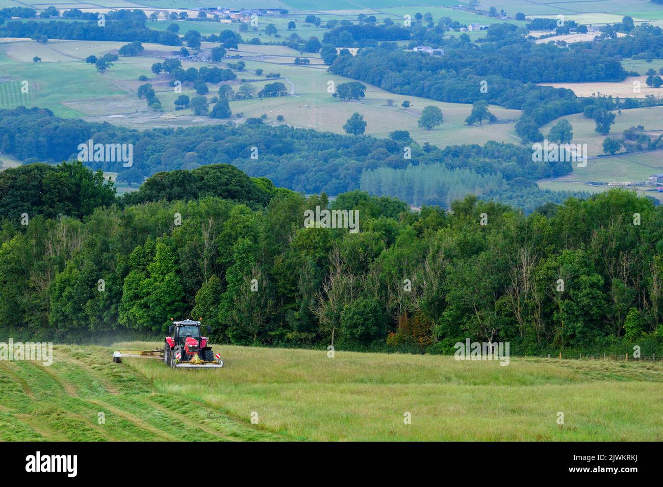 Red Massey Ferguson 7719 S tractor & Claas Disco 3200c swathing hay - hillside farmland pasture, scenic Wharfedale countryside, Yorkshire, England UK. Stock Photo